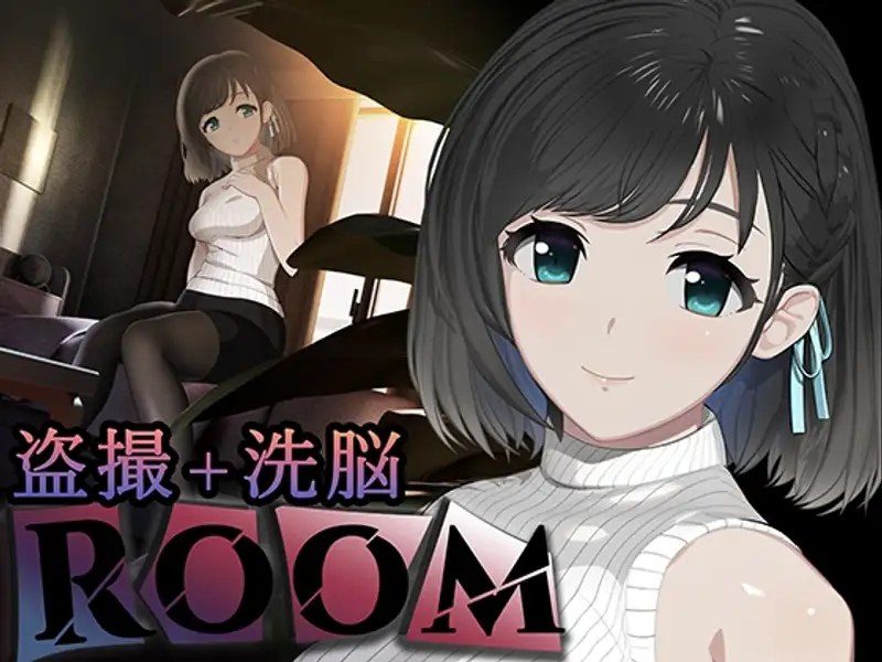 ROOM ROOM汉化版下载存档备份入门指南 封面图